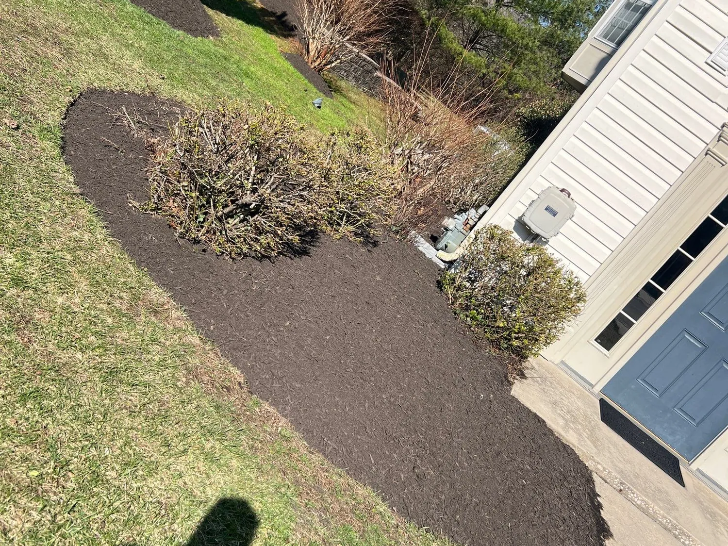 Fresh dark mulch beds installed around foundation shrubs along the side of a home