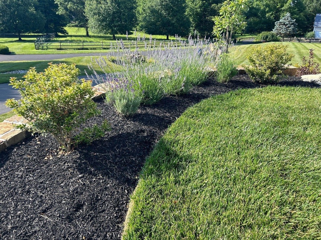 The Complete Yard Kit