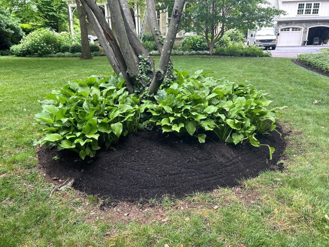 Real homes, remarkable results